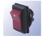 R13-49A-05-BR 开关 R13-49A-05-BR 开关