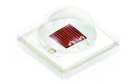 GF CSSPM1.24-1T3T-1-0 LED发射器 GF CSSPM1.24-1T3T-1-0 LED发射器