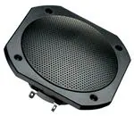 FRS 10 WP - 8 Ohm (black) 音频设备