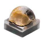 XQEAWT-00-0000-00000BEE1 LED发射器 XQEAWT-00-0000-00000BEE1 LED发射器