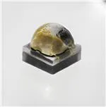 XQEAPA-H0-0000-000000801 LED发射器 XQEAPA-H0-0000-000000801 LED发射器